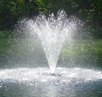 Shop Fountains Now