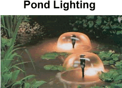 Pond Lighting