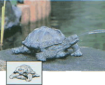 Turtle Pond Spitter