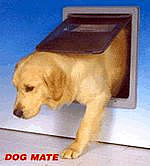 Dog Mate