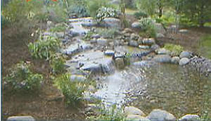 Just-A-Falls