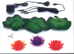 Lily Kit