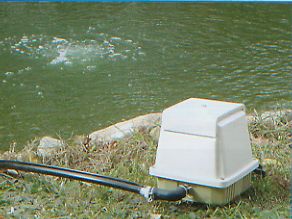 pond-water garden-aerator-koi-deicer EasyPro LA5W Deluxe Linear Aeration Kit 