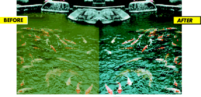 Before & After