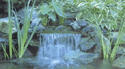 Waterfall Filter