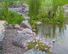 Easy Pro Pond Kits