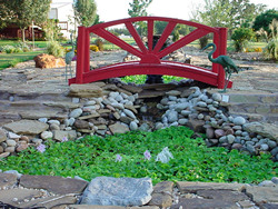 Pond #2