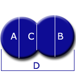Kidney Shape