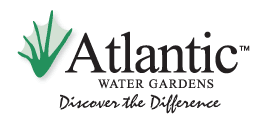 Atlantic Logo