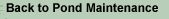 Back to the Pond Maintenance page.