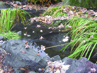 Pond Netting and Covers by Just Liners